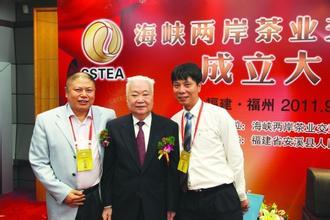 海峡两岸茶业交流协会组织结构