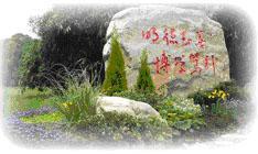 上海电机学院学校标识