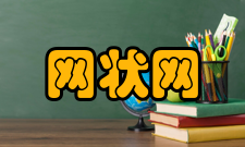 网状网高速移动切换