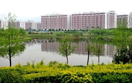 广州城建职业学院希望鱼苗2009年开始