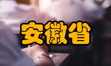安徽省大中专毕业生就业指导中心市场信息部建设维护“安徽省大中