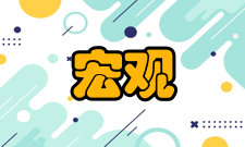 宏观量子效应解释