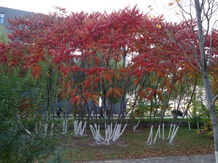 吉林农业科技学院教学建设