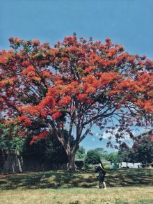 海南大学儋州校区教学楼