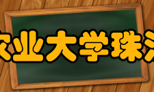 华南农业大学珠江学院专业介绍设计与传播系艺术设计专业(展示艺