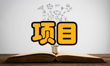 项目风险管理第二阶段