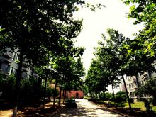 连云港师范高等专科学校教学建设