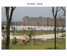 贵阳医学院神奇民族医药学院师资力量