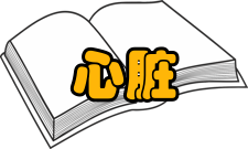 铅中毒对心脏的影响