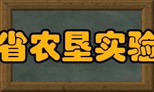 海南省农垦实验中学教师成绩介绍