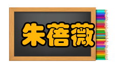 朱蓓薇社会任职时间担任职务参考资料