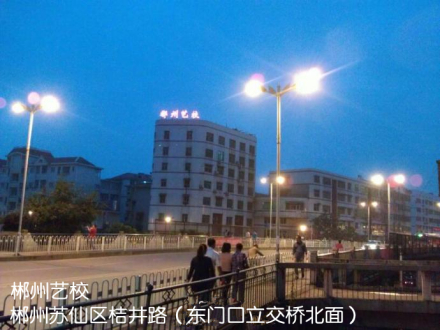 郴州文艺职业中等专业学校器乐