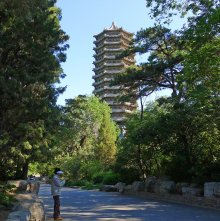 北京大学法学院发展历程