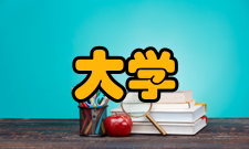 大学本科普通全日制本科在中国