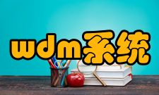 wdm系统应用