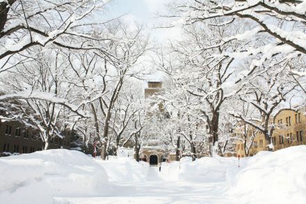 北海道大学学界新渡户稻造