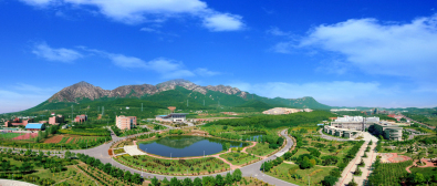 大连理工大学开发区校区办学历史