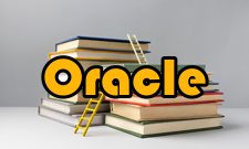 Oracle大型数据库系统在AIX/UNIX上的实战详解作者