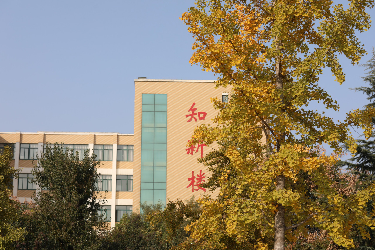 山东现代学院办学历史学校始建于1993年