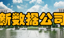 新数据公司简介