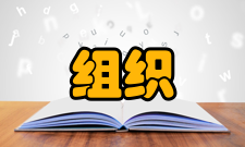 运维管理要能够管理不同