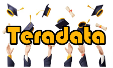 Teradata国际客户
