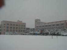 南京市莫愁中等专业学校师资队伍