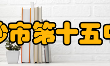 长沙市第十五中学搭建教师培训平台