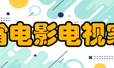 河南省电影电视家协会获奖情况