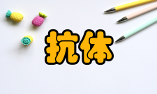 抗体工程基本释义