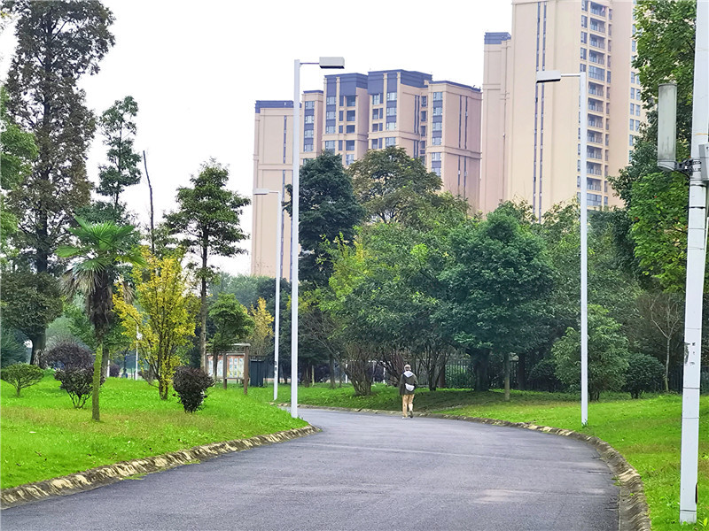 四川艺术职业学院教学建设质量工程