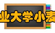 四川农业大学小麦研究所学科建设