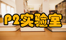 p2实验室建筑、结构和装修要求