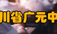 四川省广元中学学校荣誉年份荣誉名称2021年四川省广元中学党