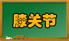 膝关节结核病因膝关节是全身最大的屈戍关节