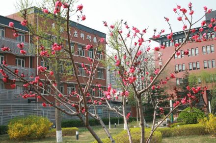 中国科学院过程工程研究所学科建设学科概况