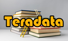 Teradata典型客户案例