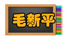 毛新平荣誉表彰