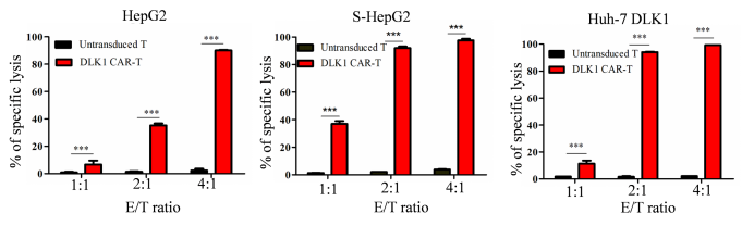 我院韩泽广团队发表靶向DLK1的嵌合抗原受体T细胞对肝细胞癌的治疗作用-22-8-26754.png