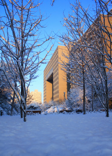 中央民族大学民族学与社会学学院办学历史