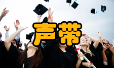 声带白斑临床表现主要症状是声嘶