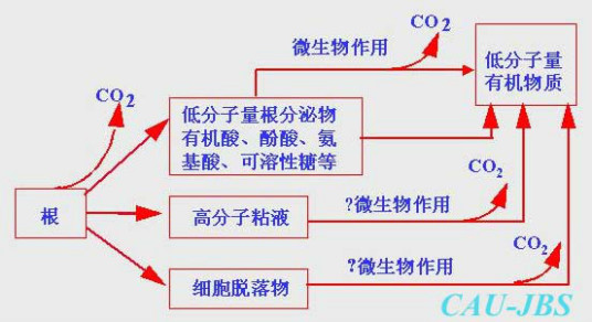 原位研究研究展望