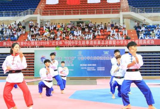 中国中学生跆拳道联赛历届回顾