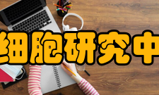 北京大学干细胞研究中心