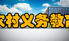 农村义务教育阶段学校教师特设岗位计划总体思路