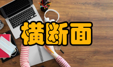 横断面研究概念