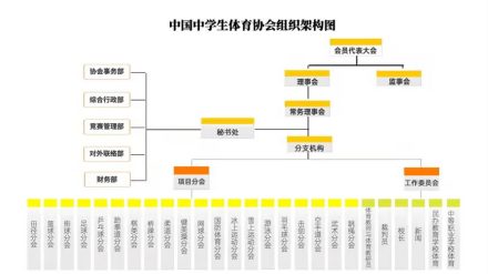 中国中学生体育协会机构介绍