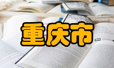 重庆市文学奖奖项简介