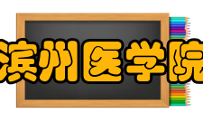 滨州医学院人文与社会科学学院师资力量