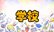 学校管理原则制定依据